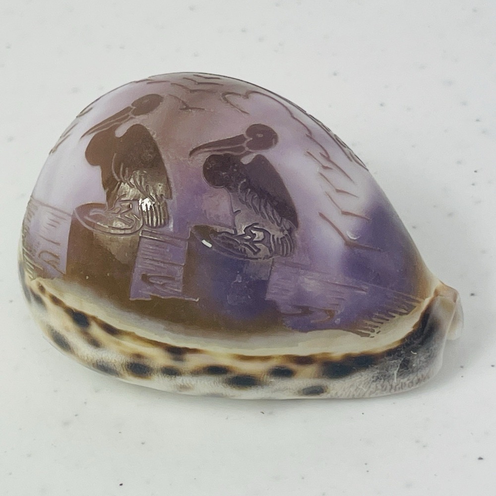 Vintage Seal Key Largo Souvenir Carved Tiger Cowrie Shell - Picture 10 of 12